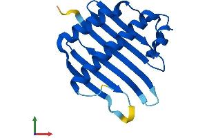 Protein Structure (PS) image for Mago-Nashi Homolog B (MAGOHB) (AA 1-146) protein (His tag) (ABIN7560555)