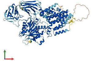 Protein Structure (PS) image for Post-GPI Attachment To Proteins 1 (PGAP1) (AA 1-922) protein (His tag) (ABIN7563755)