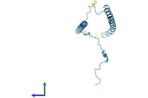 Protein Structure (PS) image for Synuclein, alpha (SNCA) (AA 1-140) protein (His tag) (ABIN7562469)
