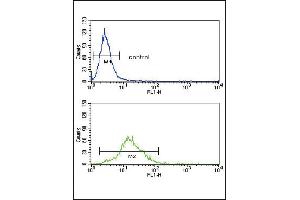 Flow Cytometry (FACS) image for anti-Sterol Regulatory Element Binding Transcription Factor 1 (SREBF1) (AA 349-378) antibody (ABIN652680)