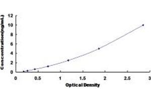 Typical standard curve (IRF1 ELISA 试剂盒)