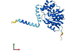 Protein Structure (PS) image for Catechol-O-Methyltransferase (COMT) (AA 1-271) protein (His tag) (ABIN7546604)