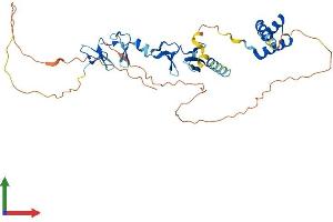 Protein Structure (PS) image for LIM Homeobox 6 (LHX6) (AA 1-363) protein (His tag) (ABIN7556224)