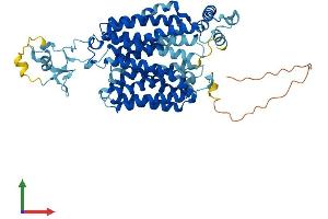 Protein Structure (PS) image for Solute Carrier Family 22 (Organic Anion Transporter), Member 13 (SLC22A13) (AA 1-551) protein (His tag) (ABIN7557903)