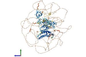 AlphaFold protein structure predicition of Human Recombinant RGS12 Protein, UniprotID O14924