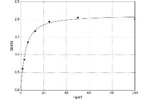 A typical standard curve