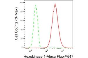 Flow cytometric analysis of Hexokinase 1 expression in HT- cells using Hexokinase 1 antibody (ABIN7798906), 1:2,000). (Recombinant Hexokinase 1 抗体)