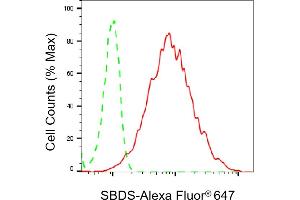 anti-Shwachman-Bodian-Diamond Syndrome (SBDS) antibody