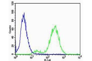 Flow cytometric analysis of Jurkat cells using CB2 Antibody (C-term) (ABIN654631 and ABIN2844327) compared to an isotype control of rabbit IgG(blue). (CNR2 抗体  (C-Term))