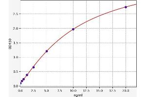 Typical standard curve (CASP14 ELISA 试剂盒)