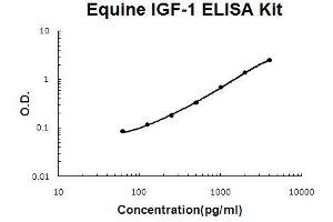 Horse equine IGF-1 PicoKine ELISA Kit standard curve (IGF1 ELISA 试剂盒)