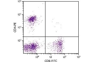 Feline peripheral blood lymphocytes were stained with Mouse Anti-Feline CD4-PE. (CD4 抗体)