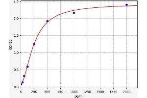 Typical standard curve (SRF ELISA 试剂盒)