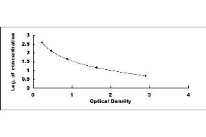 Typical standard curve (Salusin beta ELISA 试剂盒)