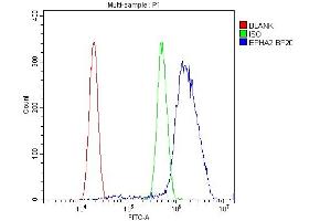 Flow Cytometry analysis of U20S cells using anti-Eph receptor A2 antibody (ABIN5693218). (EPH Receptor A2 抗体  (AA 851-970))