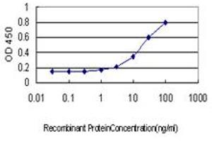 Detection limit for recombinant GST tagged ELK1 is approximately 1ng/ml as a capture antibody. (ELK1 抗体  (AA 67-166))