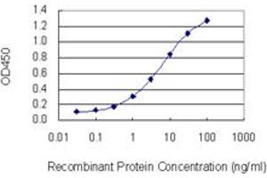 Detection limit for recombinant GST tagged FAF1 is 0. (FAF1 抗体  (AA 551-650))