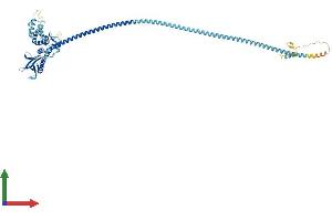 Protein Structure (PS) image for SWAP Switching B-Cell Complex 70kDa Subunit (SWAP70) (AA 1-585) protein (His tag) (ABIN7555641)