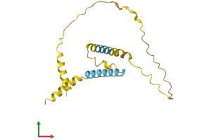 Protein Structure (PS) image for EP300 Interacting Inhibitor of Differentiation 1 (EID1) (AA 1-169) protein (His tag) (ABIN7561350)