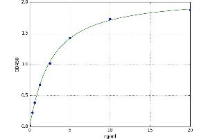 A typical standard curve (SLC2A3 ELISA 试剂盒)