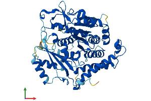 Protein Structure (PS) image for Tubulin, gamma 2 (TUBG2) (AA 1-451) protein (His tag) (ABIN7559822)