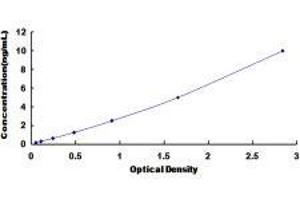 ELISA image for Nuclear Factor of kappa Light Polypeptide Gene Enhancer in B-Cells 2 (NFKB2) ELISA Kit (ABIN424176)