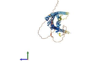 AlphaFold protein structure predicition of Human Recombinant DRD1 Protein, UniprotID P21728