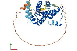 Protein Structure (PS) image for Calpain, Small Subunit 2 (CAPNS2) (AA 1-247) protein (His tag) (ABIN7561088)