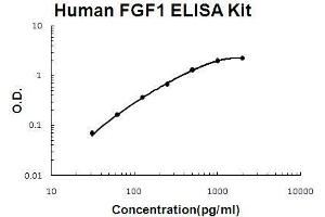 Human FGF1 PicoKine ELISA Kit standard curve (FGF1 ELISA 试剂盒)