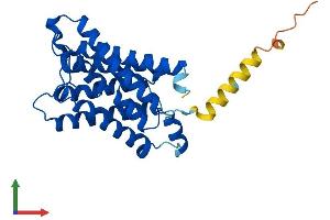 Protein Structure (PS) image for Aquaporin 2 (Collecting Duct) (AQP2) (AA 1-271) protein (His tag) (ABIN7556474)