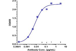 Immobilized Cyno CDH6 His at 2 μg/mL can bind Anti-CDH6 / K-Cadherin Reference Antibody (HKT288), EC50=0.