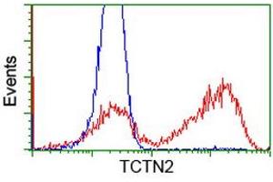 HEK293T cells transfected with either RC203860 overexpress plasmid (Red) or empty vector control plasmid (Blue) were immunostained by anti-TCTN2 antibody (ABIN2453721), and then analyzed by flow cytometry. (TCTN2 抗体)
