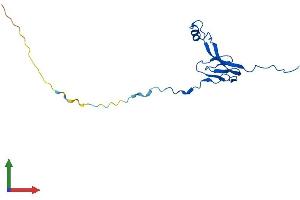 Protein Structure (PS) image for Mitochondrial Ribosomal Protein L27 (MRPL27) (AA 1-148) protein (His tag) (ABIN7560437)