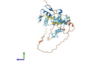Protein Structure (PS) image for Zinc Finger Protein 705D (ZNF705D) (AA 1-300) protein (His tag) (ABIN7545519)