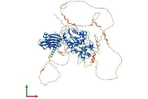 AlphaFold protein structure predicition of Human Recombinant B4GALNT4 Protein, UniprotID Q76KP1
