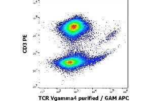 Flow cytometry multicolor surface staining of human lymphocytes stained using anti-human TCR Vgamma4 (4A11. (TCR Vgamma4 抗体)