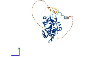 Protein Structure (PS) image for Heparan Sulfate (Glucosamine) 3-O-Sulfotransferase 3B1 (HS3ST3B1) (AA 1-390) protein (His tag) (ABIN7554132)