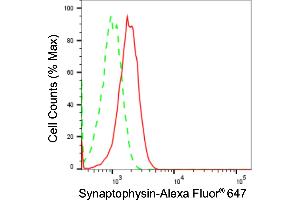 Flow cytometric analysis of Synaptophysin expression in HT- cells using Synaptophysin antibody (ABIN7800485), 1:2,000).