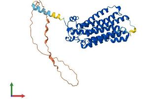 AlphaFold protein structure predicition of Human Recombinant ADIPOR2 Protein, UniprotID Q86V24