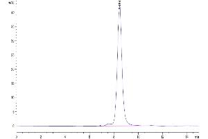 Size-exclusion chromatography-High Pressure Liquid Chromatography (SEC-HPLC) image for Sema Domain, Immunoglobulin Domain (Ig), Transmembrane Domain (TM) and Short Cytoplasmic Domain, (Semaphorin) 4B (SEMA4B) (AA 31-703) protein (His tag) (ABIN7275568)