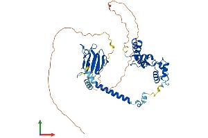 Protein Structure (PS) image for Microspherule Protein 1 (MCRS1) (AA 1-462) protein (His tag) (ABIN7560355)