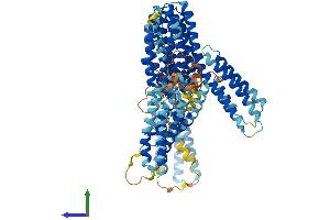 Protein Structure (PS) image for Catenin (Cadherin-Associated Protein), alpha 3 (CTNNA3) (AA 1-895) protein (His tag) (ABIN7553584)