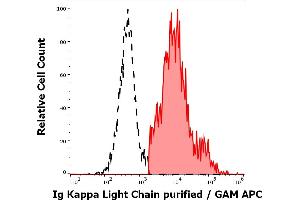 Separation of human Ig Kappa Light Chain positive lymphocytes (red-filled) from Ig Kappa Light Chain negative lymphocytes (black-dashed) in flow cytometry analysis (surface staining) of human peripheral whole blood stained using anti-human Ig Kappa Light Chain (A8B5) purified antibody (concentration in sample 4 μg/mL, GAM APC). (kappa Light Chain 抗体)