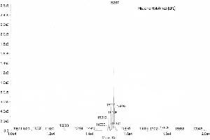 Mass Spectrometry (MS) image for Histone 3 (H3) (H3K4me3) protein (ABIN2669566) (Histone 3 Protein (H3) (H3K4me3))