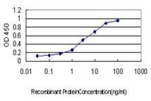Detection limit for recombinant GST tagged AHSG is approximately 0. (Fetuin A 抗体  (AA 19-367))