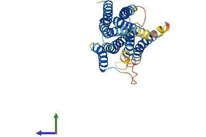 Protein Structure (PS) image for Solute Carrier Family 39 (Zinc Transporter), Member 9 (SLC39A9) (AA 1-308) protein (His tag) (ABIN7558498)