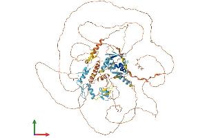 Protein Structure (PS) image for Zinc Finger and BTB Domain-Containing Protein 10 (ZBTB10) (AA 1-871) protein (His tag) (ABIN7545223)