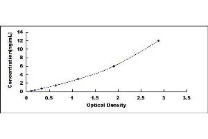 Typical standard curve (ELANE ELISA 试剂盒)