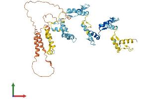 AlphaFold protein structure predicition of Human Recombinant ZNF223 Protein, UniprotID Q9UK11 (ZNF223 Protein (AA 1-482) (His tag))