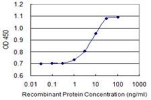 Detection limit for recombinant GST tagged PXK is 0. (PXK 抗体  (AA 351-450))